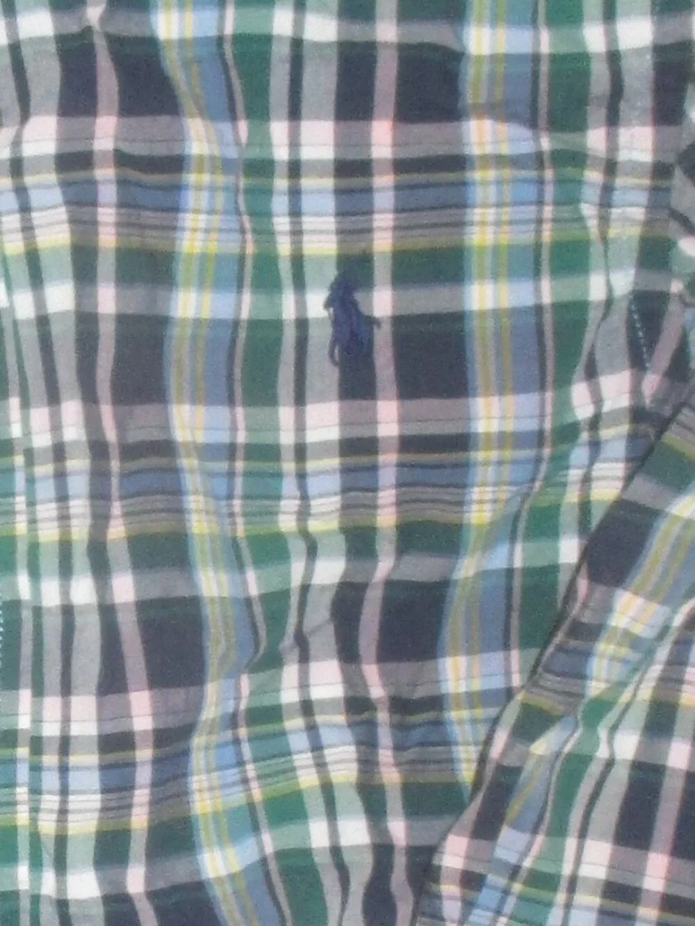 Ralph Lauren Boys 10-12 Cotton Blue/Green Plaid Button-Down Long Sleeve Shirt